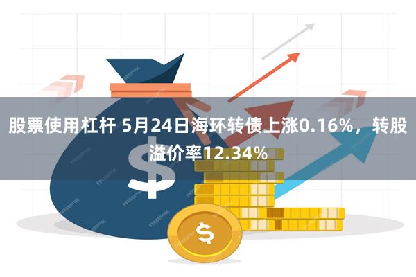 股票使用杠杆 5月24日海环转债上涨0.16%，转股溢价率12.34%