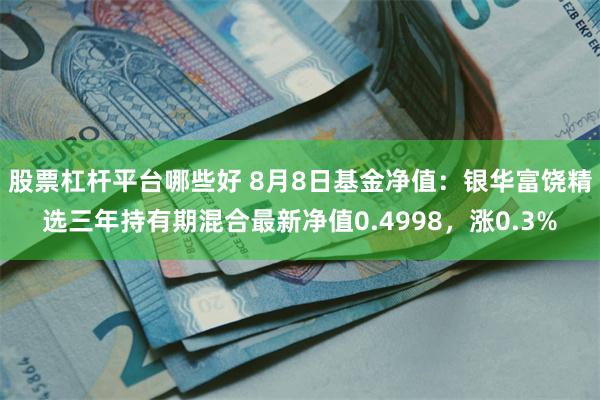 股票杠杆平台哪些好 8月8日基金净值：银华富饶精选三年持有期混合最新净值0.4998，涨0.3%