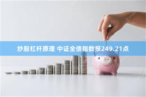 炒股杠杆原理 中证全债指数报249.21点