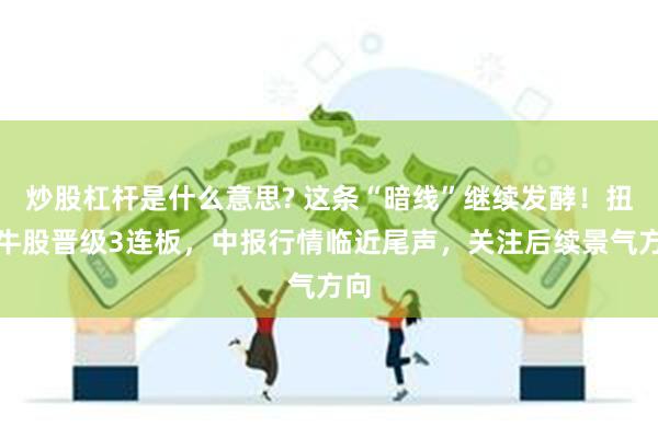 炒股杠杆是什么意思? 这条“暗线”继续发酵！扭亏牛股晋级3连板，中报行情临近尾声，关注后续景气方向