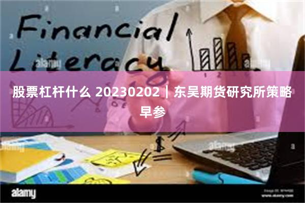 股票杠杆什么 20230202｜东吴期货研究所策略早参
