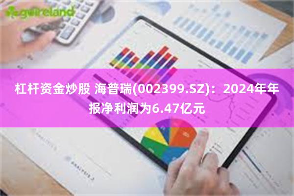 杠杆资金炒股 海普瑞(002399.SZ)：2024年年报净利润为6.47亿元
