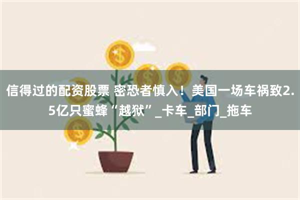 信得过的配资股票 密恐者慎入！美国一场车祸致2.5亿只蜜蜂“越狱”_卡车_部门_拖车
