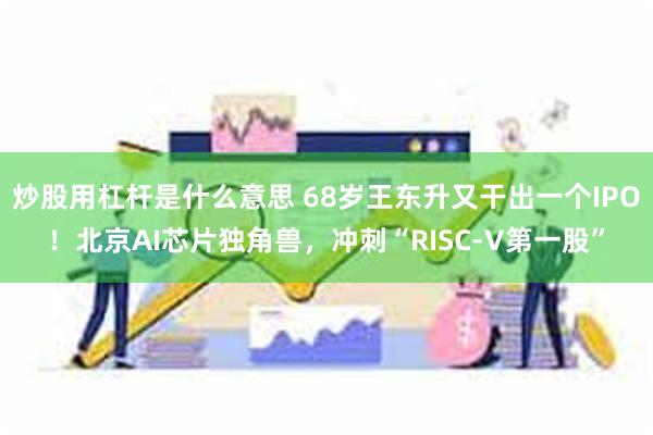 炒股用杠杆是什么意思 68岁王东升又干出一个IPO！北京AI芯片独角兽，冲刺“RISC-V第一股”