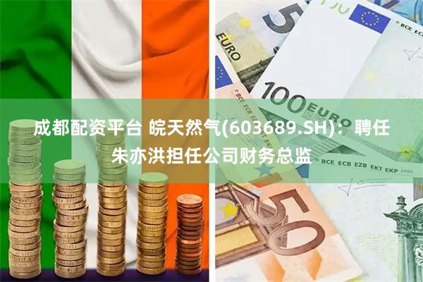 成都配资平台 皖天然气(603689.SH)：聘任朱亦洪担任公司财务总监