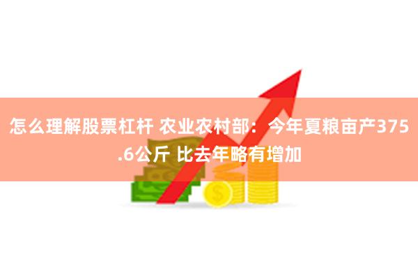 怎么理解股票杠杆 农业农村部：今年夏粮亩产375.6公斤 比去年略有增加