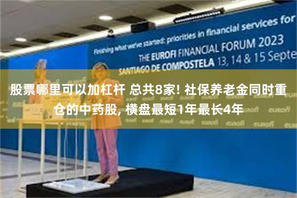 股票哪里可以加杠杆 总共8家! 社保养老金同时重仓的中药股, 横盘最短1年最长4年