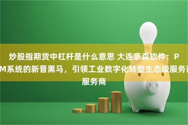 炒股指期货中杠杆是什么意思 大连豪森软件：PLM系统的新晋黑马，引领工业数字化转型生态级服务商