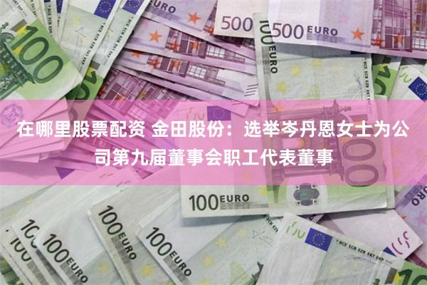 在哪里股票配资 金田股份：选举岑丹恩女士为公司第九届董事会职工代表董事