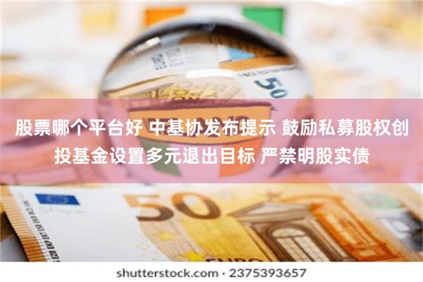 股票哪个平台好 中基协发布提示 鼓励私募股权创投基金设置多元退出目标 严禁明股实债